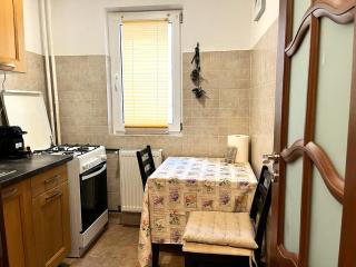 Urban Nest Victoriei - Central 1BR Apartment - 1