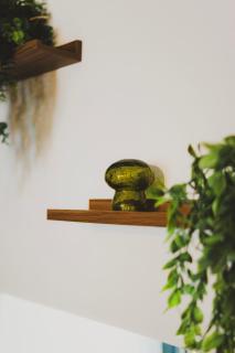 T2 cosy tout équipé, parking et wifi gratuit, Castres - 2