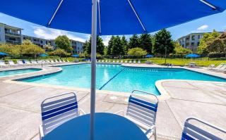 Nice place surrounded by the water - 7