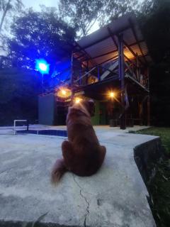 EL ALTO DE CISNEROS " para caminantes" - 0