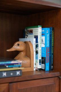 The Harold, Forested retreat with firepit - 1