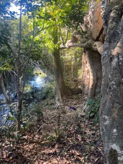 Koah Private hideaway with creek access - 7