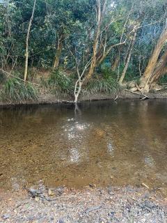 Koah Private hideaway with creek access - 2