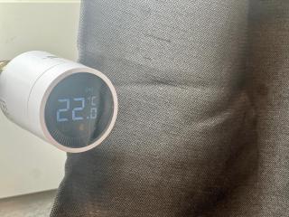 Pension BettMan Erfurt - 8