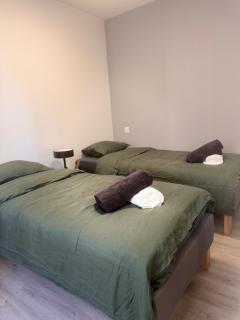 Cozy apartment 15 minutes from Lyon - 5