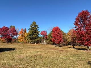 My Valhalla Farm - 6