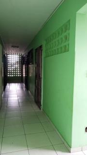 Mangueirão COP 30 - 3