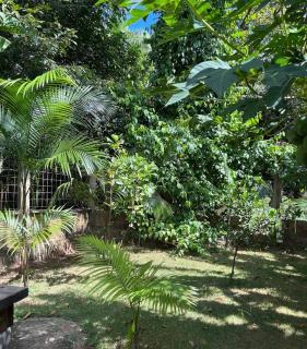 Chácara Bom Pastor 5 km do Centro Crato - 5