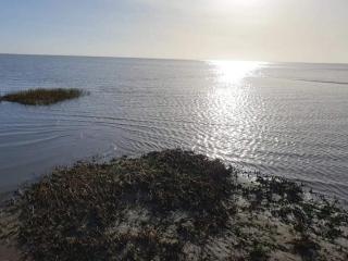 Tranquil Retreat in Skaerbaek - By Traum Ferienwohnungen - 4