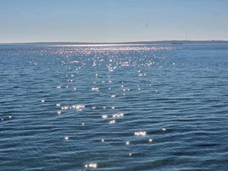 Tranquil Retreat in Skaerbaek - By Traum Ferienwohnungen - 1