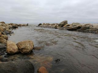 Modern Beach Retreat - By Traum Ferienwohnungen - 1