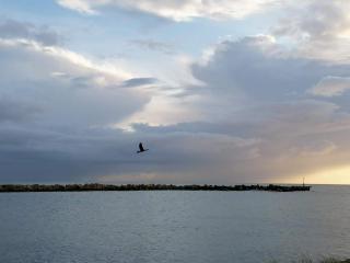 6 person holiday home in Hals-By Traum - 9