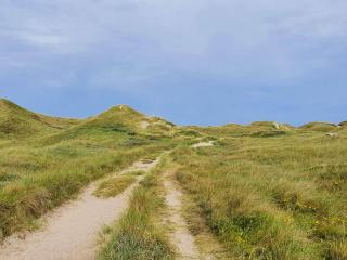 12 person holiday home in Ulfborg-By Traum - 5