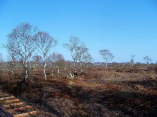 6 person holiday home in Storvorde-By Traum - 2