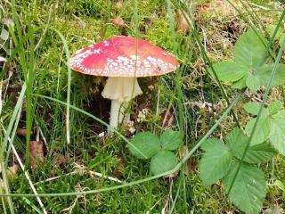 Cozy Cottage near Mariager - By Traum Ferienwohnungen - 2