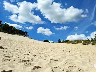 Luxury Retreat by Beach - By Traum Ferienwohnungen - 7