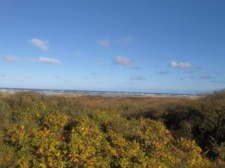 6 person holiday home in Bindslev-By Traum - 4