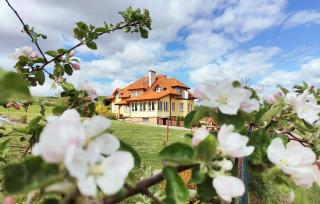 1 Bedroom Stunning Apartment In Golubie - 9