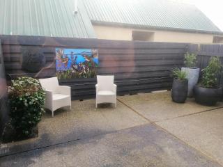 Kiwiana Art apartment , near city and Queens Park - 6