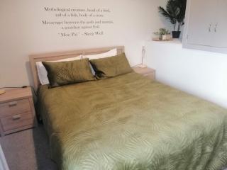 Kiwiana Art apartment , near city and Queens Park - 3