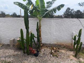 Chacara famíliar cantinho que Deus nos Deu - 2