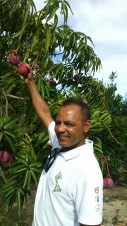 Pousadinha Mangabeiras II - 0