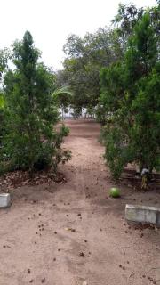 Pousadinha Mangabeiras II - 7