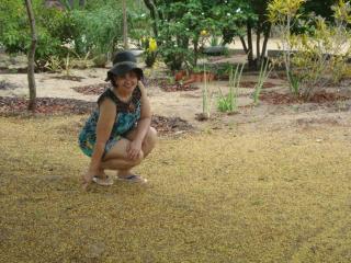 Pousadinha Mangabeiras II - 2