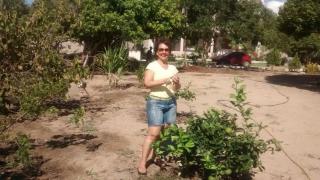 Pousadinha Mangabeiras II - 1