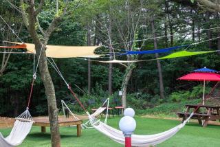 Seosan Pet Glamping Pension Pet N Tree - 5