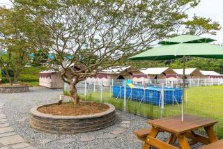 Seosan Pet Glamping Pension Pet N Tree - 6