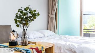 Glamdog Dog Pension Tongyeong Branch - 5