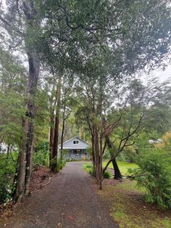 Willows Cottage - 9