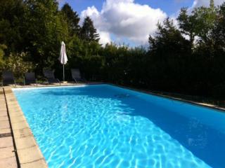 Gîte spacieux avec cheminée et animaux admis - FR-1-496-31 - 9