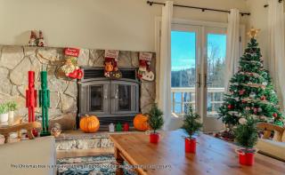 Lakefront Villa with 180 degree view private dock and boats - 1