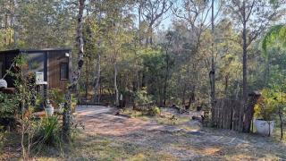 Magic Bush Stay Yamba Hinterland by Tiny Away - 4