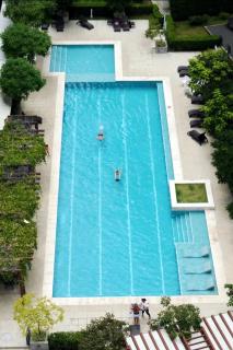 Charming & Cute in San Jose Apt - Great Location - San José - 8