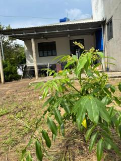 Bảo Bối Garden House - 1