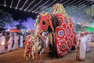 Nishadi Holiday Inn Kataragama - 5