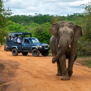 Nishadi Holiday Inn Kataragama - 2
