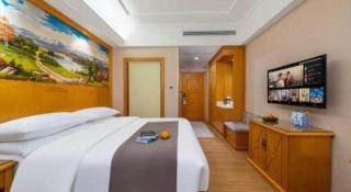 Vienna Hotel Tianjin Zhongbei Town - 4