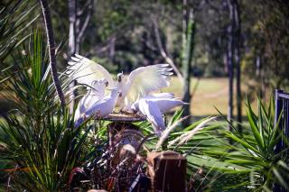 Tranquility Ranch by Tiny Away - 6