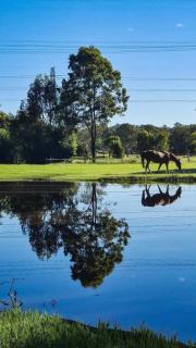 Tranquility Ranch by Tiny Away - 8