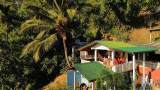 New Farmers Paradise - 1