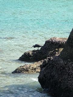 Bedarra Island House 360 - 3