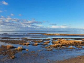 2 person holiday home in Esbjerg V-By Traum - 1