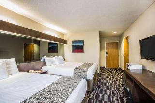 Microtel Inn & Suites by Wyndham Chattanooga/Near Hamilton P - 2