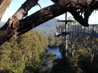Tahune AirWalk Cabin and Lodge - Geeveston - 9