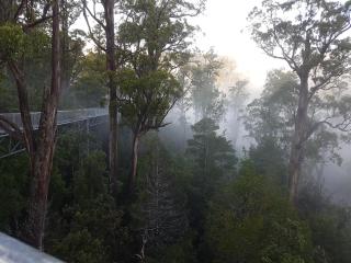 Tahune AirWalk Cabin and Lodge - Geeveston - 2