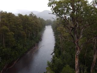 Tahune AirWalk Cabin and Lodge - Geeveston - 1
